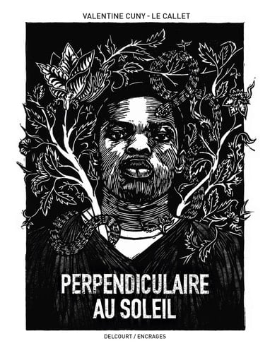 Perpendiculaire au soleil - Cover