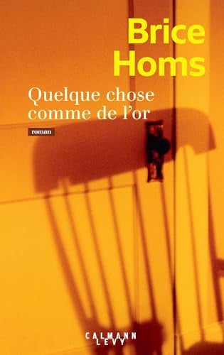 Quelque chose comme de l'or - Cover