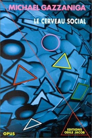 Le cerveau social - Cover