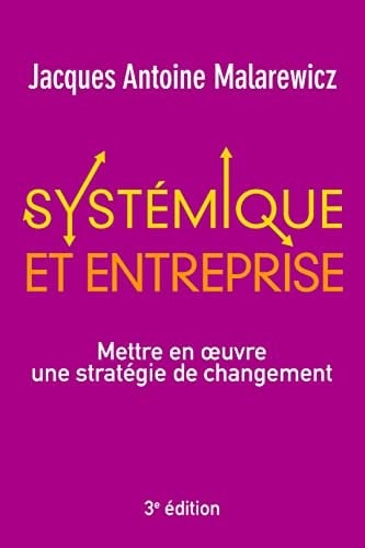 Systémique et entreprise Mettre en oeuvre une stratégie de changement - Cover