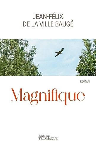 Magnifique roman - Cover