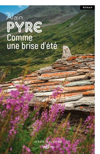 Comme une brise d'été roman - Cover