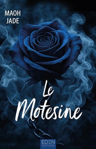 Le Motesine - Les Matches Boys T2 - Cover