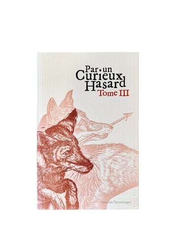 Par un curieux hasard - Cover