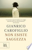 Non esiste saggezza - Cover