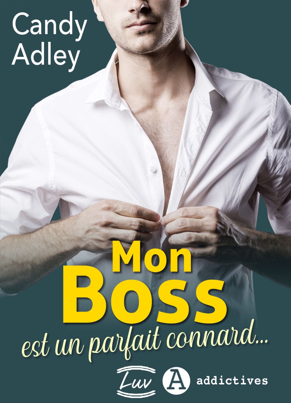 Mon boss est un parfait connard… - Cover