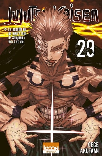 Jujutsu Kaisen T29 - Cover