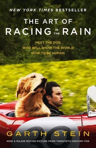 The Art of Racing in the Rain - Cover