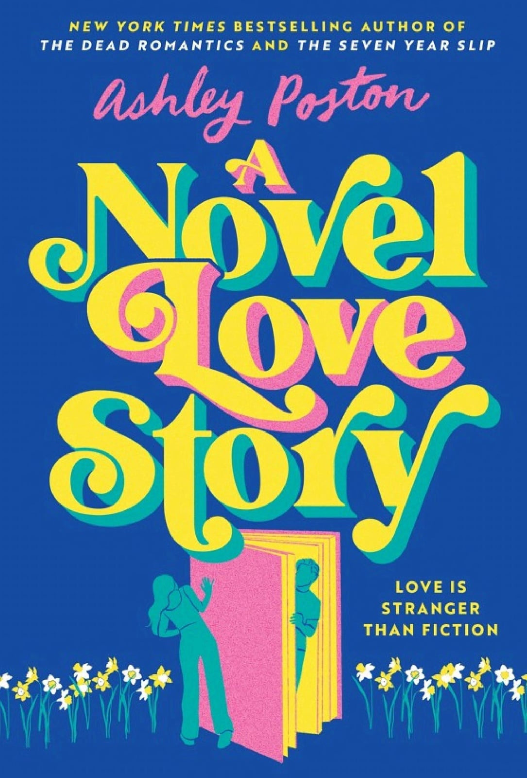 A Novel Love Story - Cover