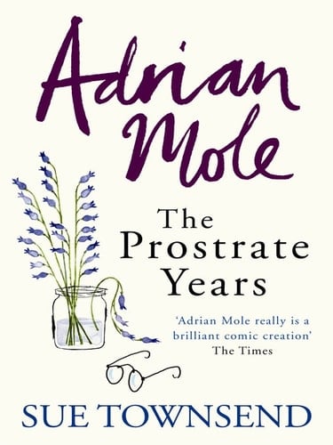 Adrian Mole: The Prostrate Years - Cover