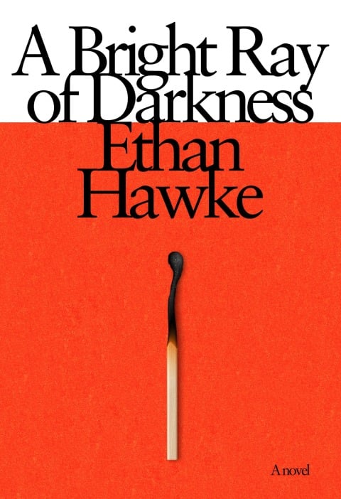 A Bright Ray of Darkness: A novel - Cover