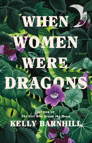 When Women Were Dragons - Cover