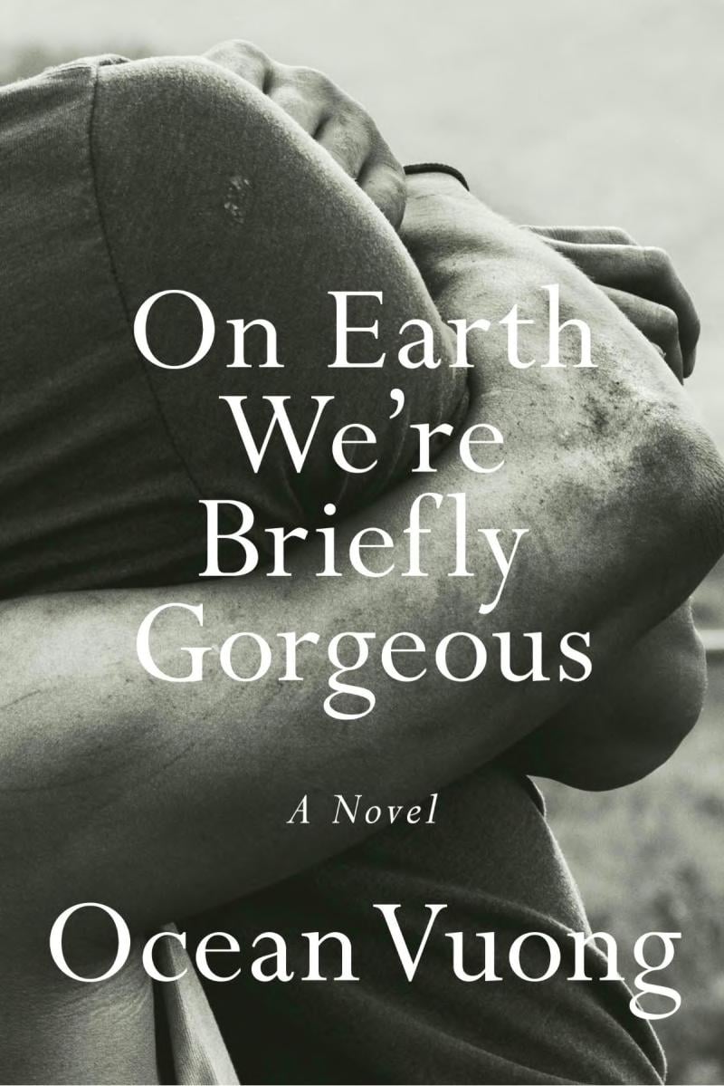 On Earth We're Briefly Gorgeous - Cover