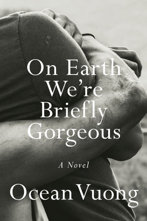 On Earth We're Briefly Gorgeous - Cover