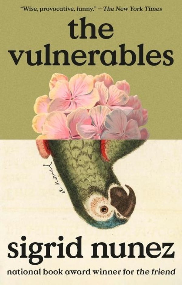 The Vulnerables - Cover