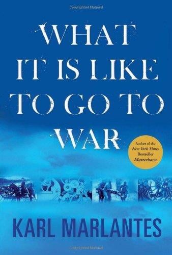 What It is Like to Go to War - Cover
