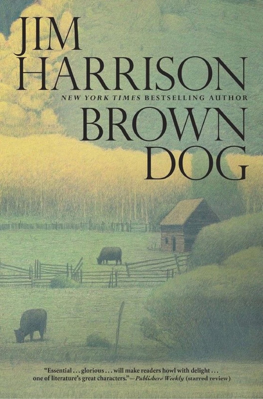 Brown Dog - Cover