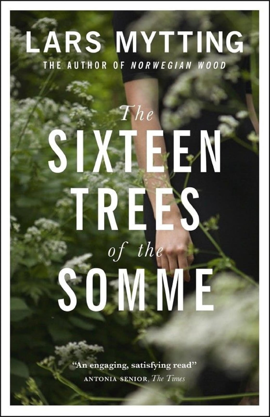 The Sixteen Trees of the Somme - Cover