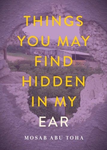 Things You May Find Hidden in My Ear - Cover