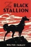 The Black Stallion - Cover
