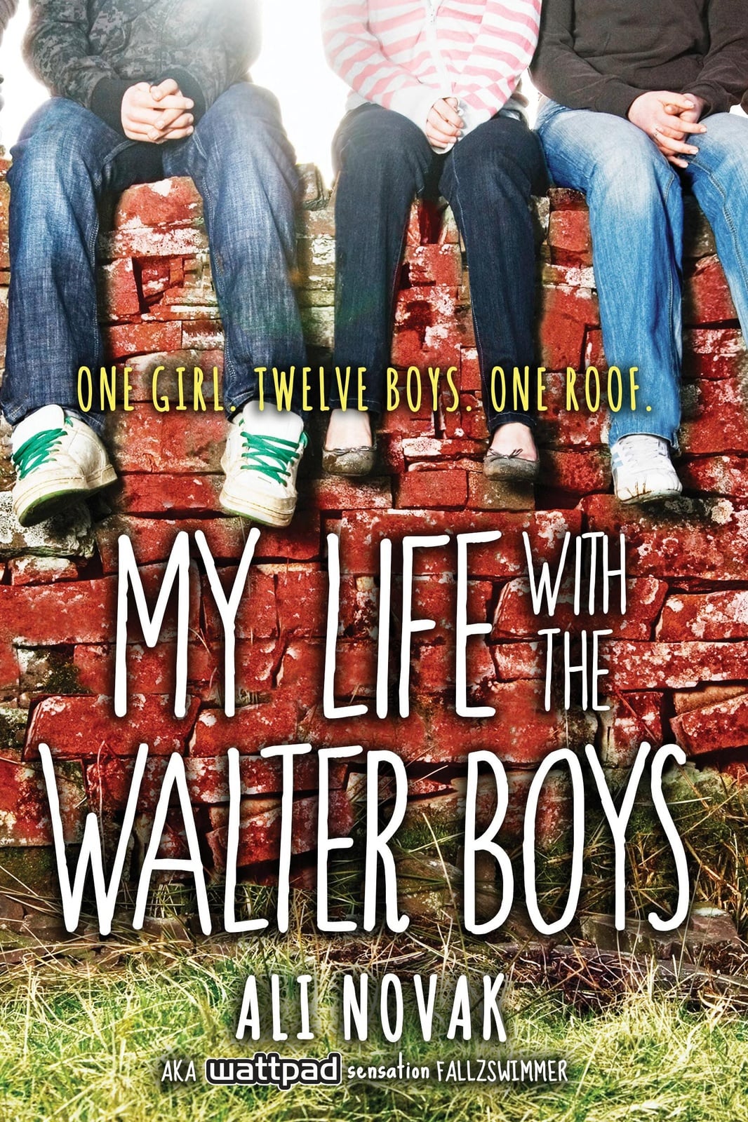 My Life with the Walter Boys - Cover