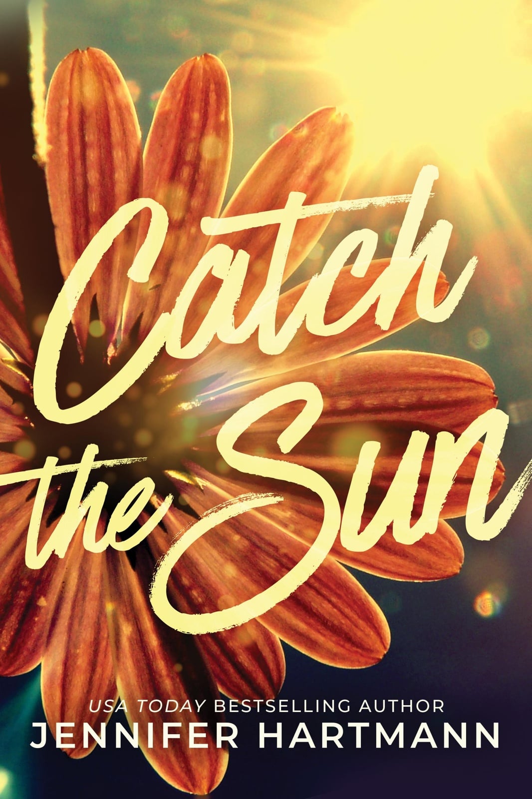 Catch the Sun - Cover
