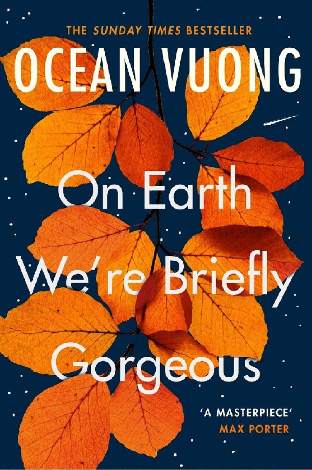 On Earth We're Briefly Gorgeous - Cover