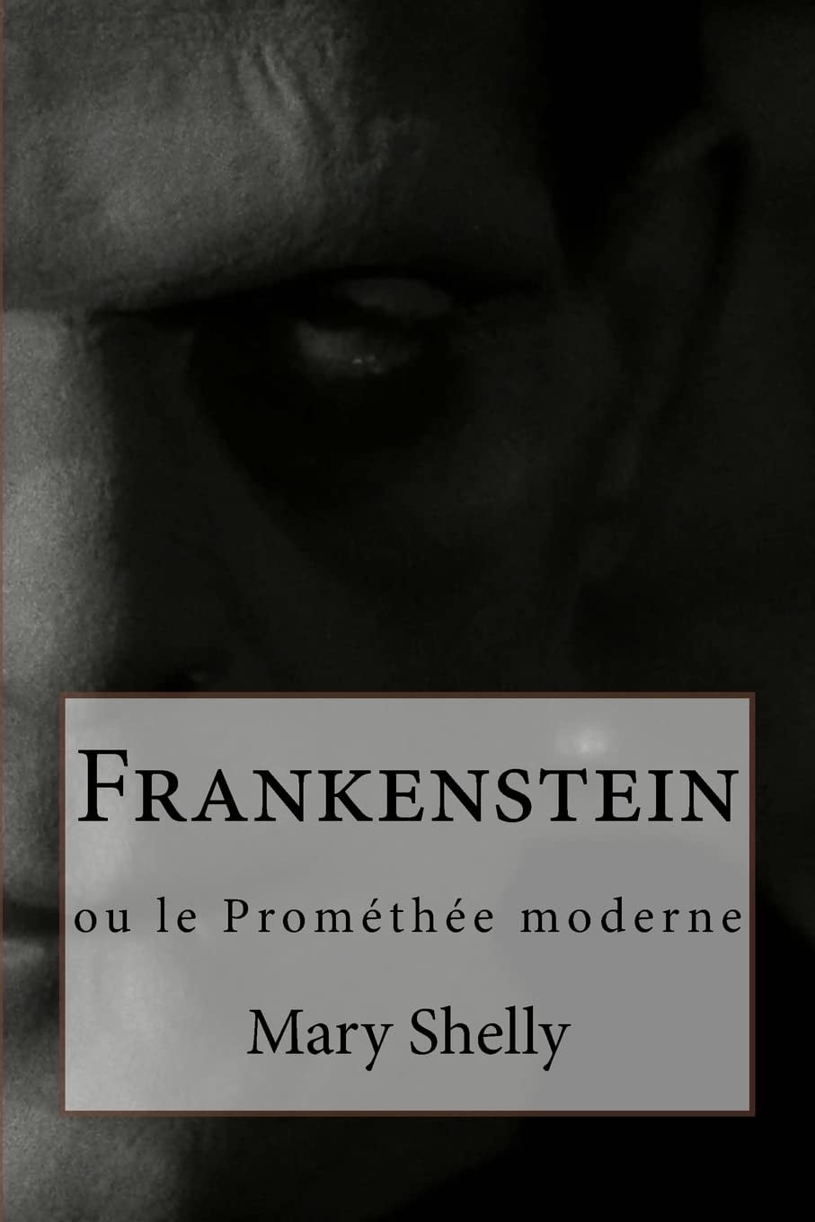 Frankenstein - Cover