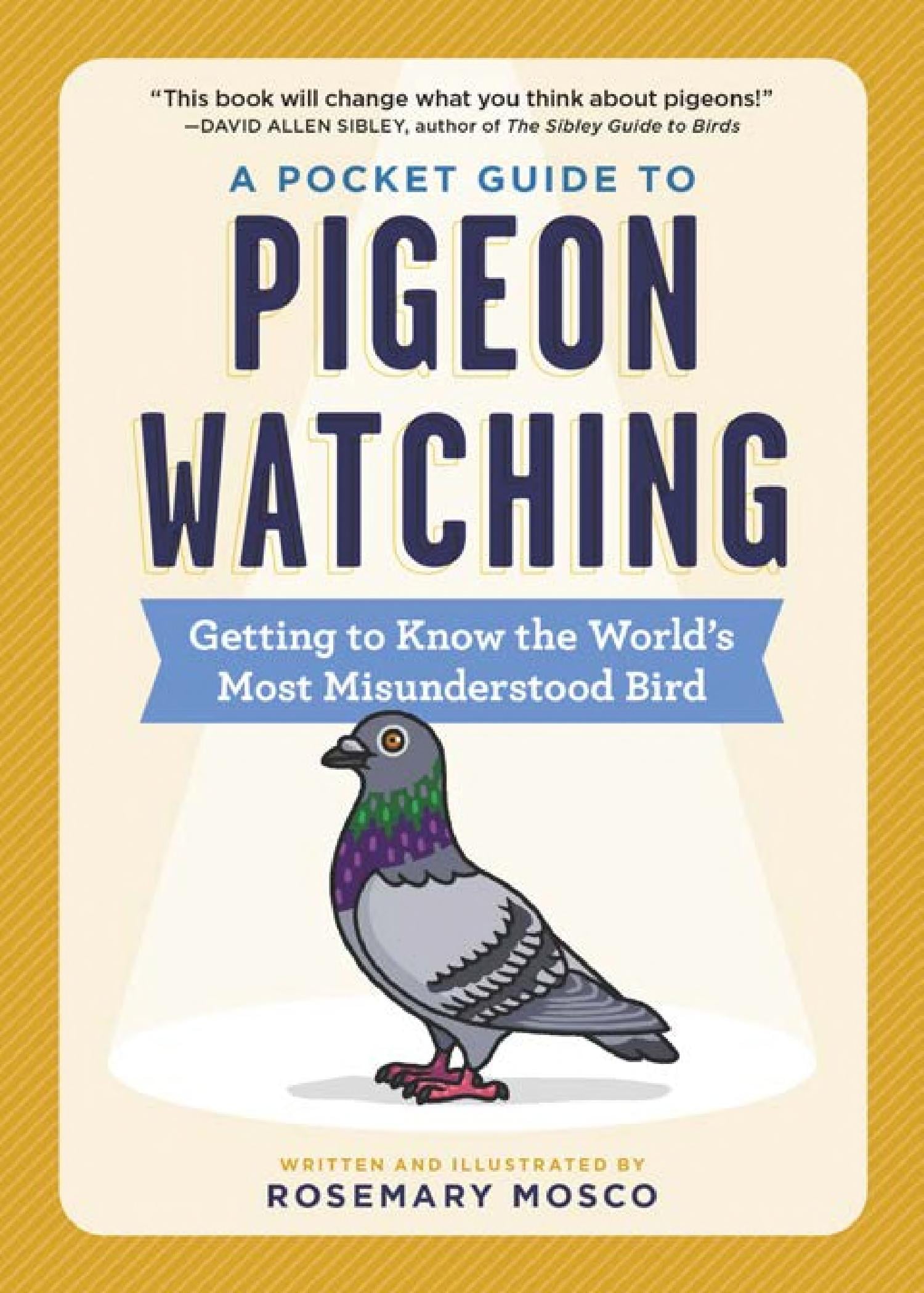 A Pocket Guide to Pigeon Watching - Cover