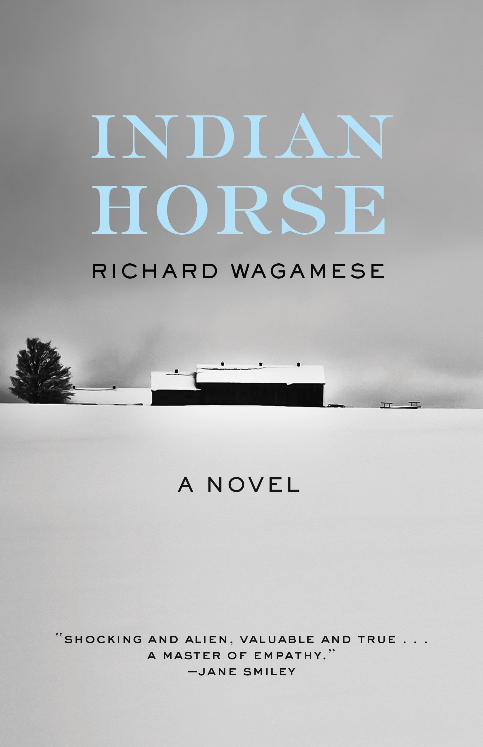 Indian Horse - Cover