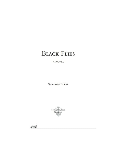 Black Flies - Cover