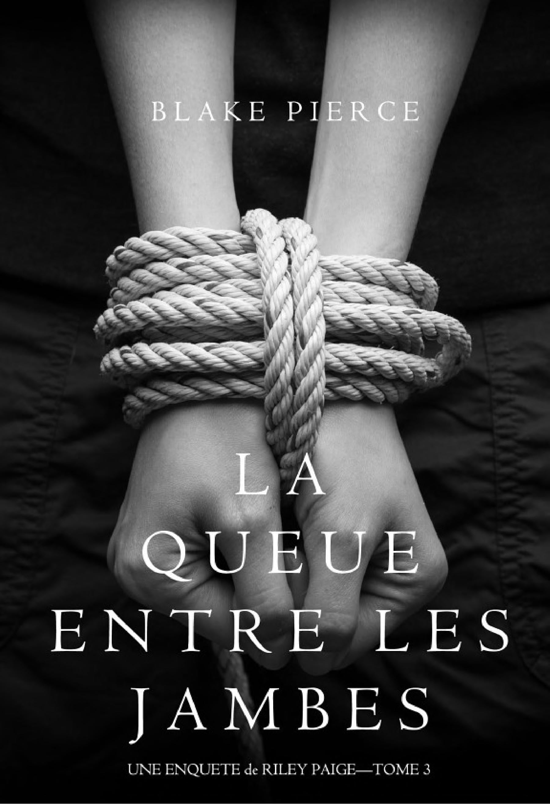 La Queue Entre les Jambes (Une Enquête de Riley Paige – Tome 3) - Cover