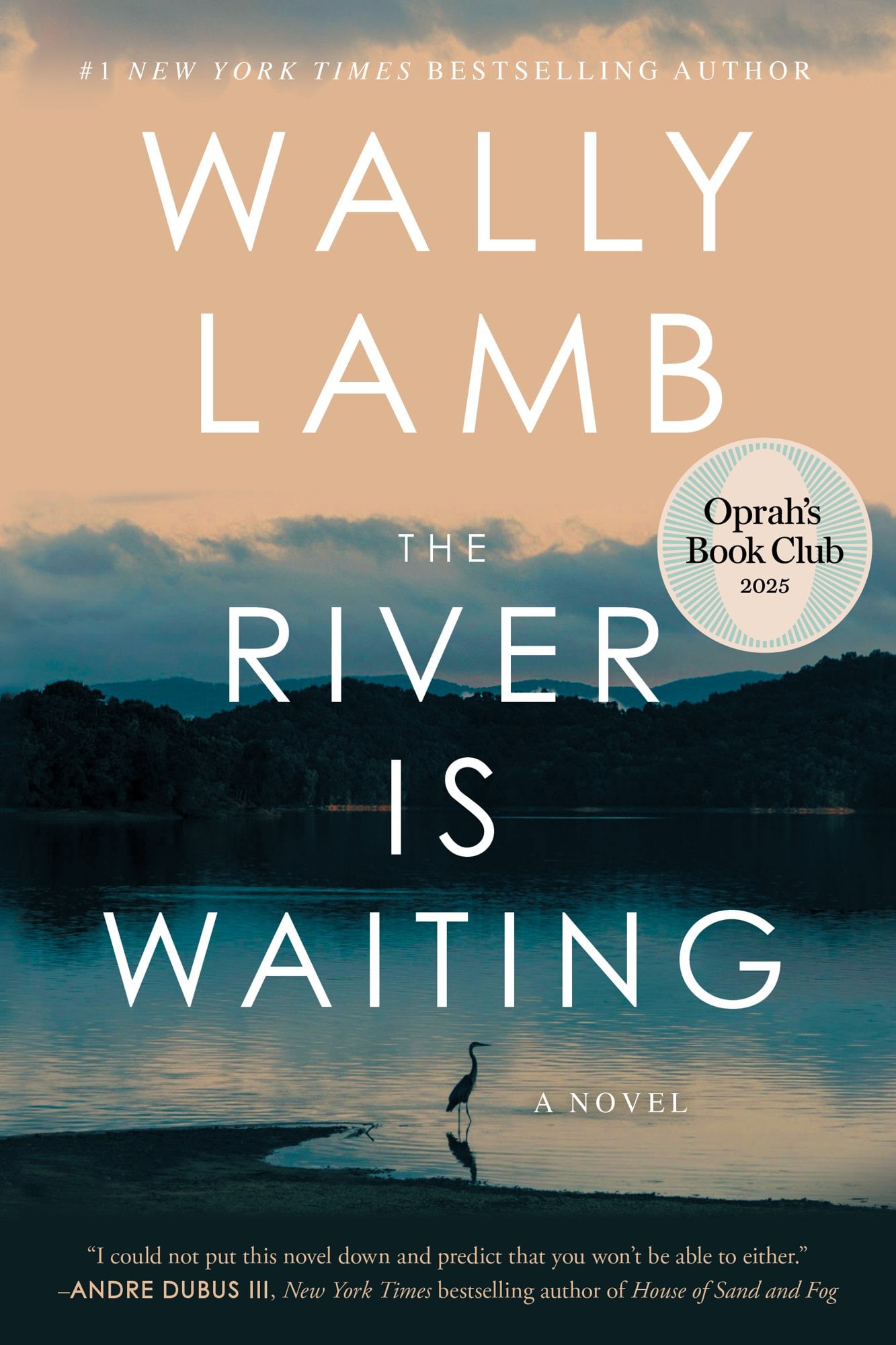 The River Is Waiting (Oprah's Book Club): A Novel - Cover