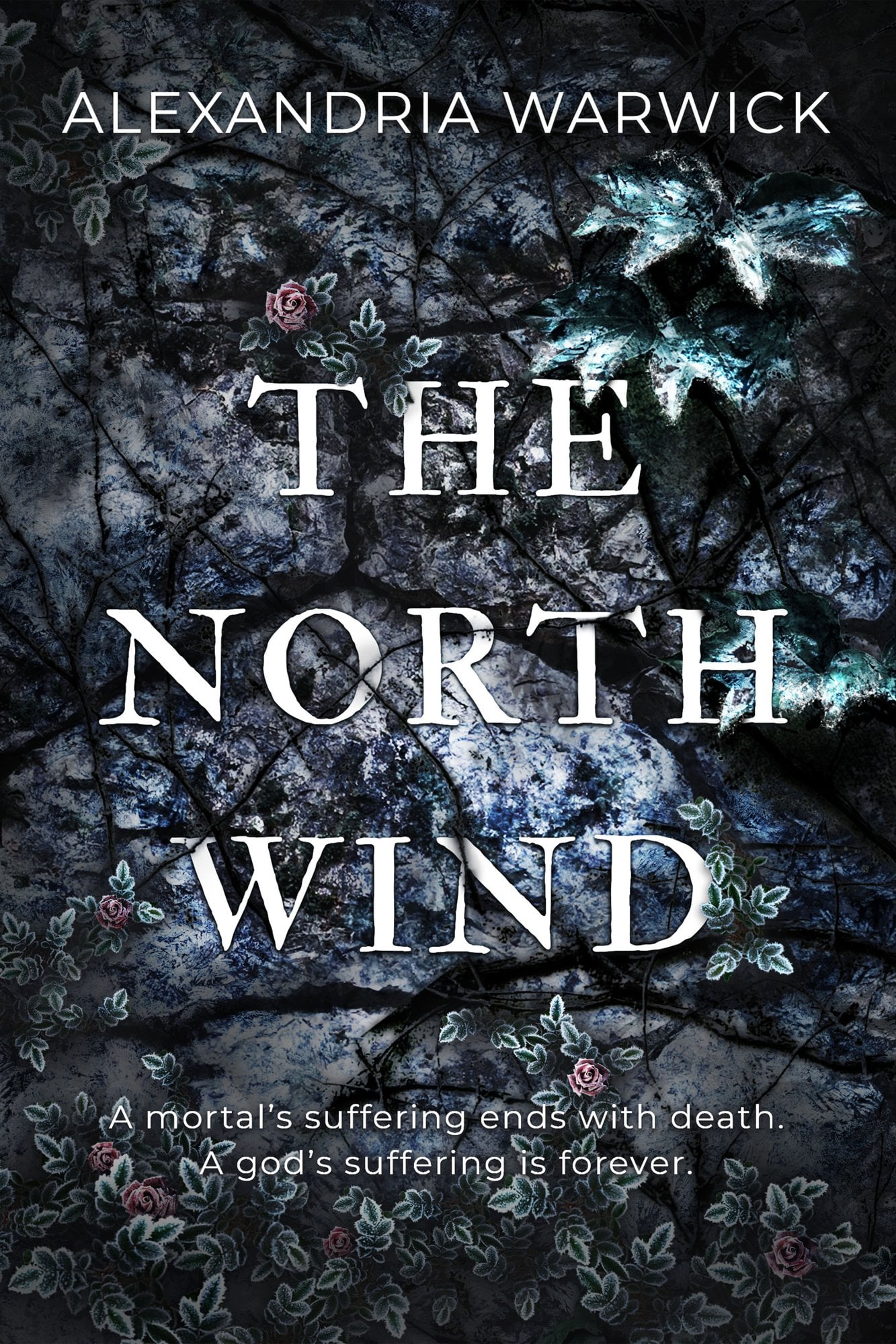 The North Wind - Cover