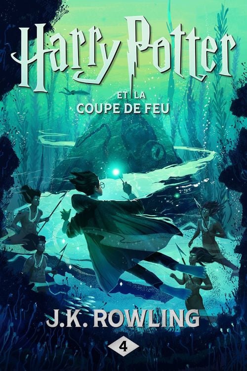 Harry Potter et la Coupe de Feu - Cover
