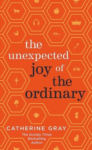 The Unexpected Joy of the Ordinary - Cover
