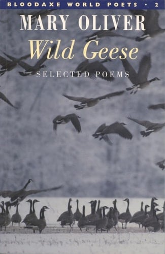 Wild Geese - Cover