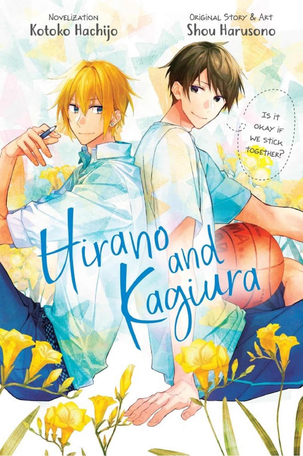 Hirano and Kagiura (novel) - Cover