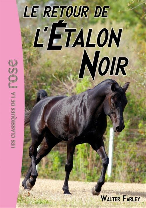 L'étalon Noir 02 - Le retour de l'Étalon Noir - Cover