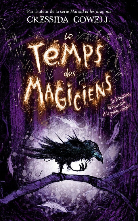 Le Temps des Magiciens - Tome 1 - Le Magicien, la Guerrière et la petite cuillère - Cover