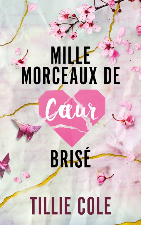 Mille morceaux de coeur brisé - Cover