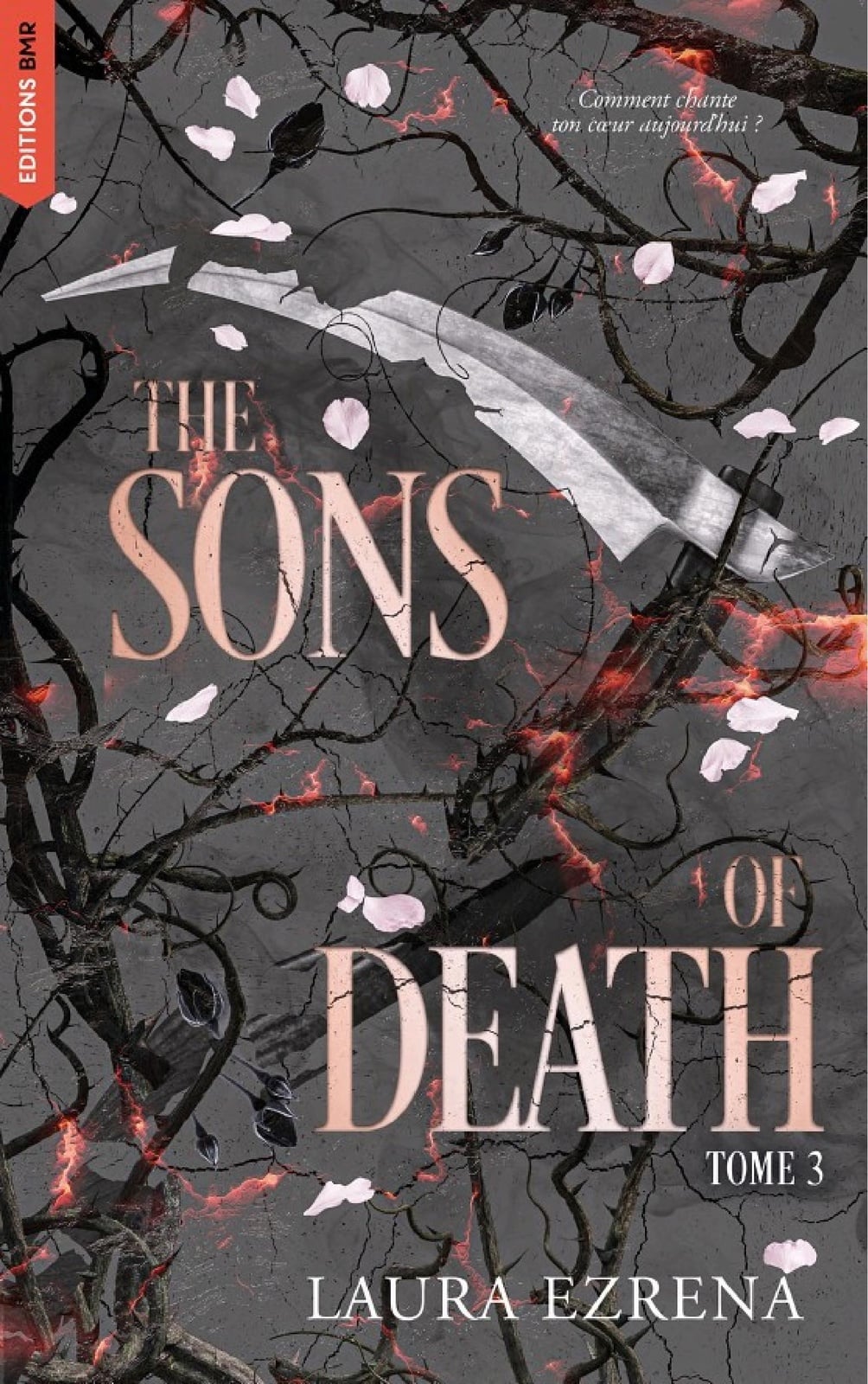 The Sons of Death - tome 3 - Cover