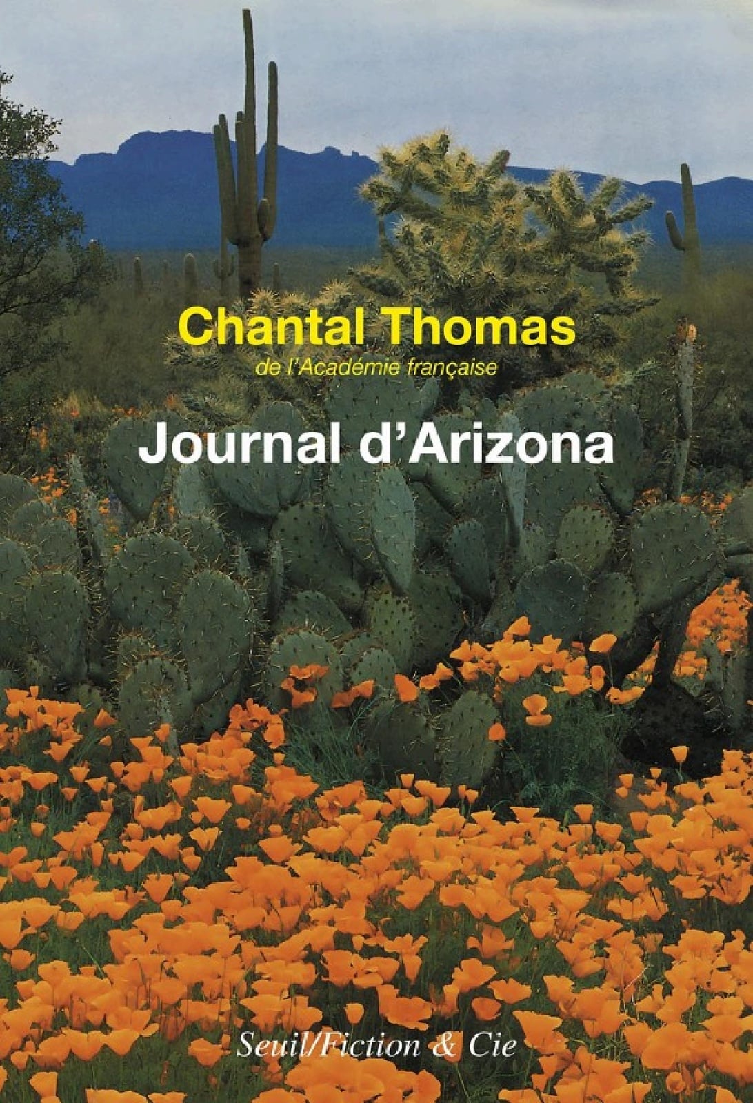 Journal d'Arizona et du Mexique - Cover
