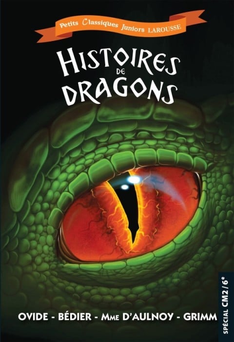 Histoires de dragons - Cover