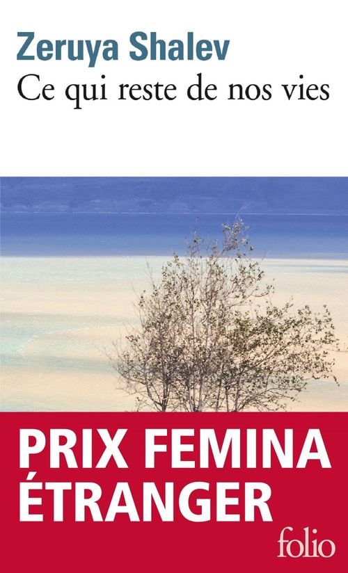 Ce qui reste de nos vies - Cover