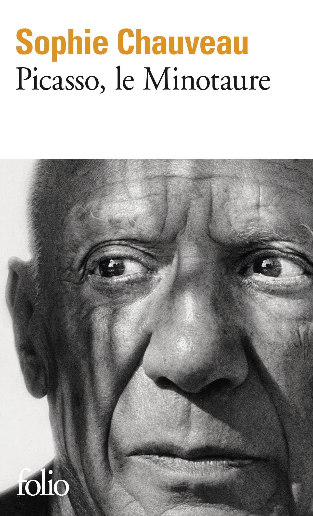 Picasso, le minotaure - Cover