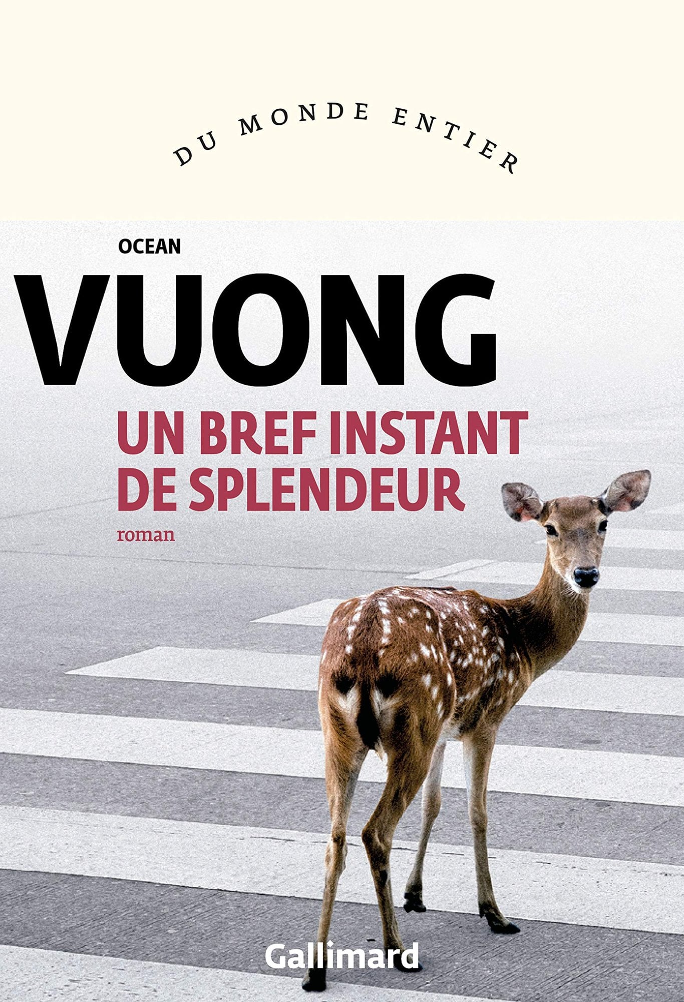 Un bref instant de splendeur - Cover
