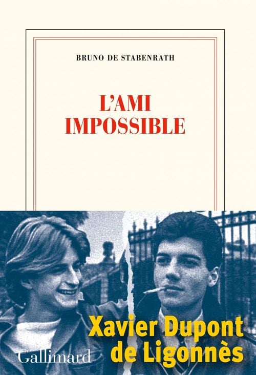 L'ami impossible - Cover