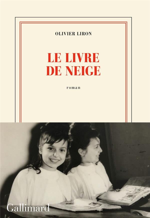 Le livre de neige - Cover