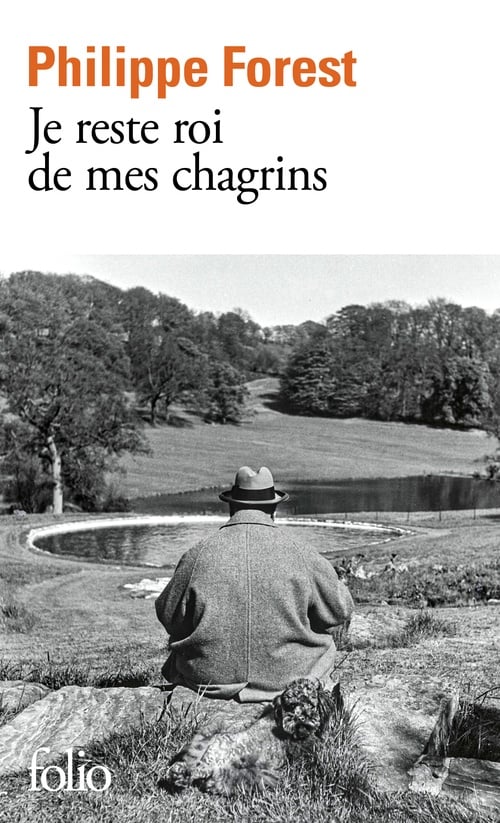 Je reste roi de mes chagrins - Cover